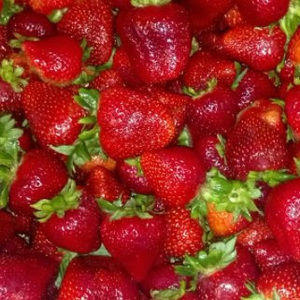 Meet your Posher, Jenn